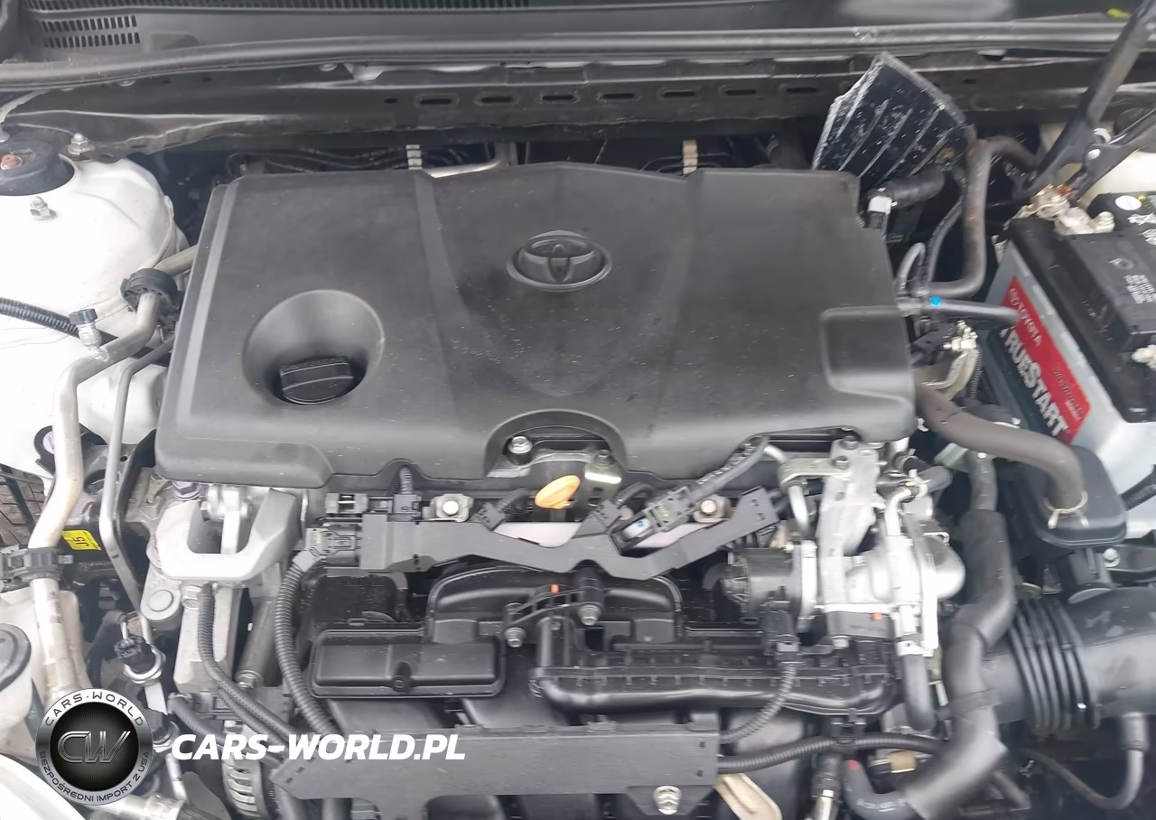 2020 Toyota Camry Se VIN:4T1G11AK3LU933076 - 10