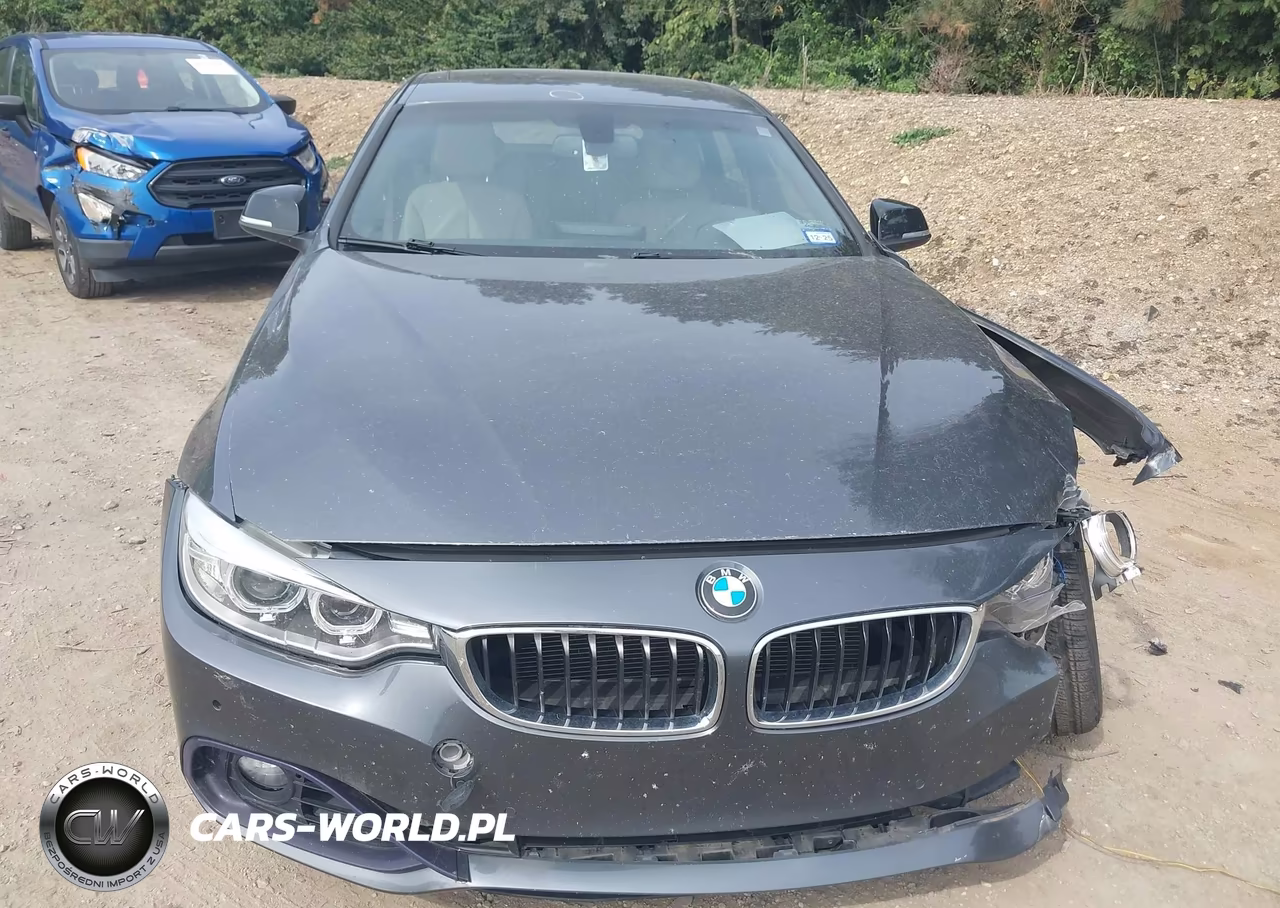 2015 BMW 428 Gran Coupe VIN:WBA4A5C5XFGK15594 - 12