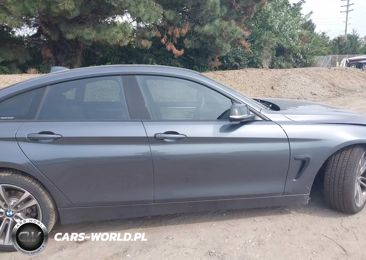 2015 BMW 428 Gran Coupe VIN:WBA4A5C5XFGK15594 - 13