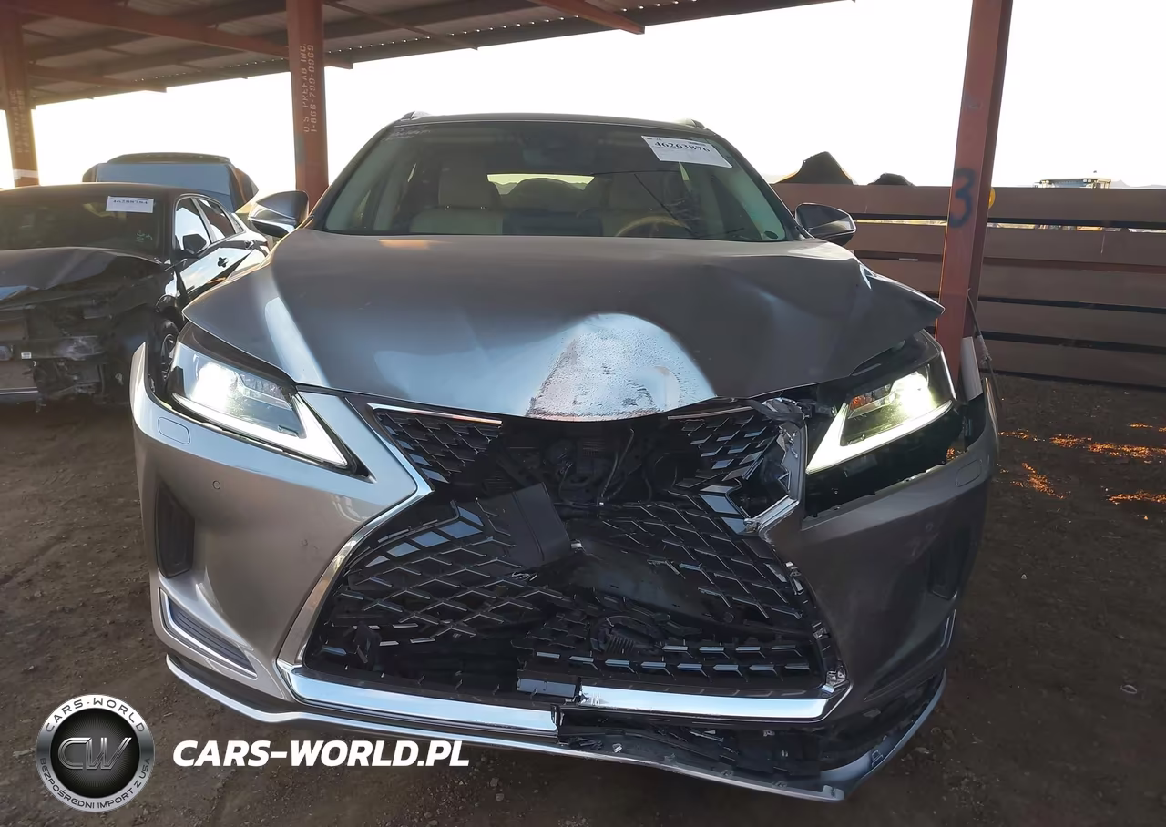 2020 Lexus Rx 450Hl VIN:JTJHGKFA2L2013669 - 6