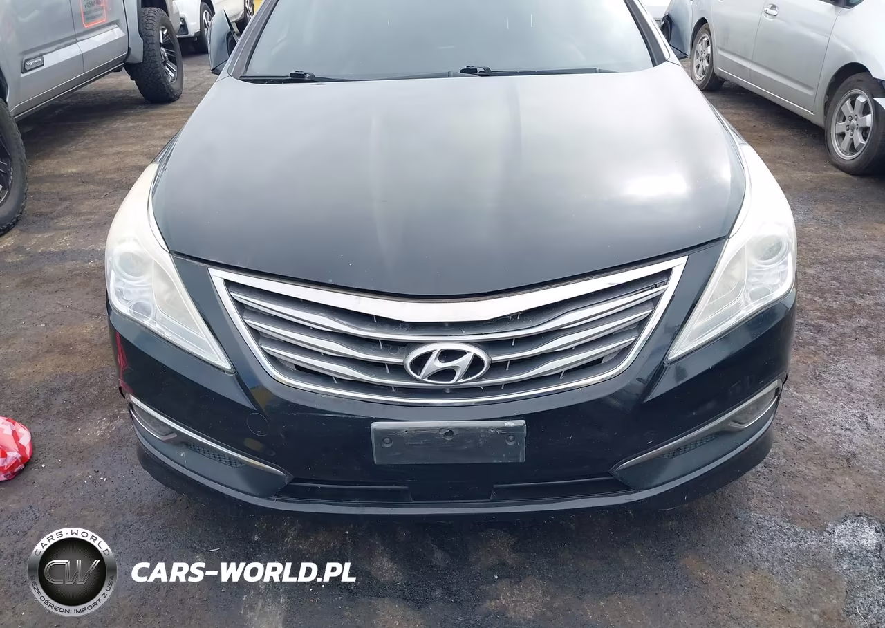 2016 Hyundai Azera Limited VIN:KMHFH4JGXGA523838 - 12
