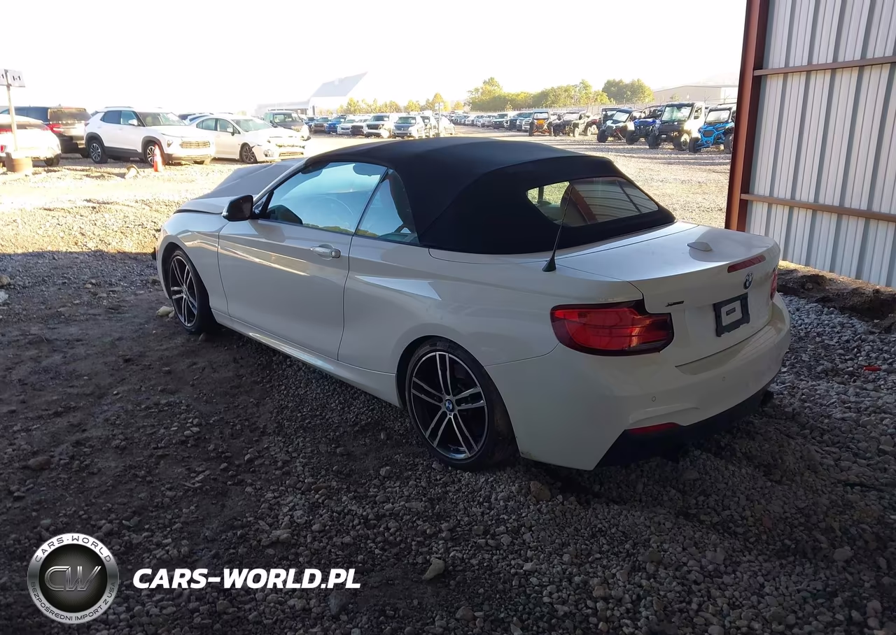 2019 BMW M240I xDrive VIN:WBA2N3C57KVE46316 - 3