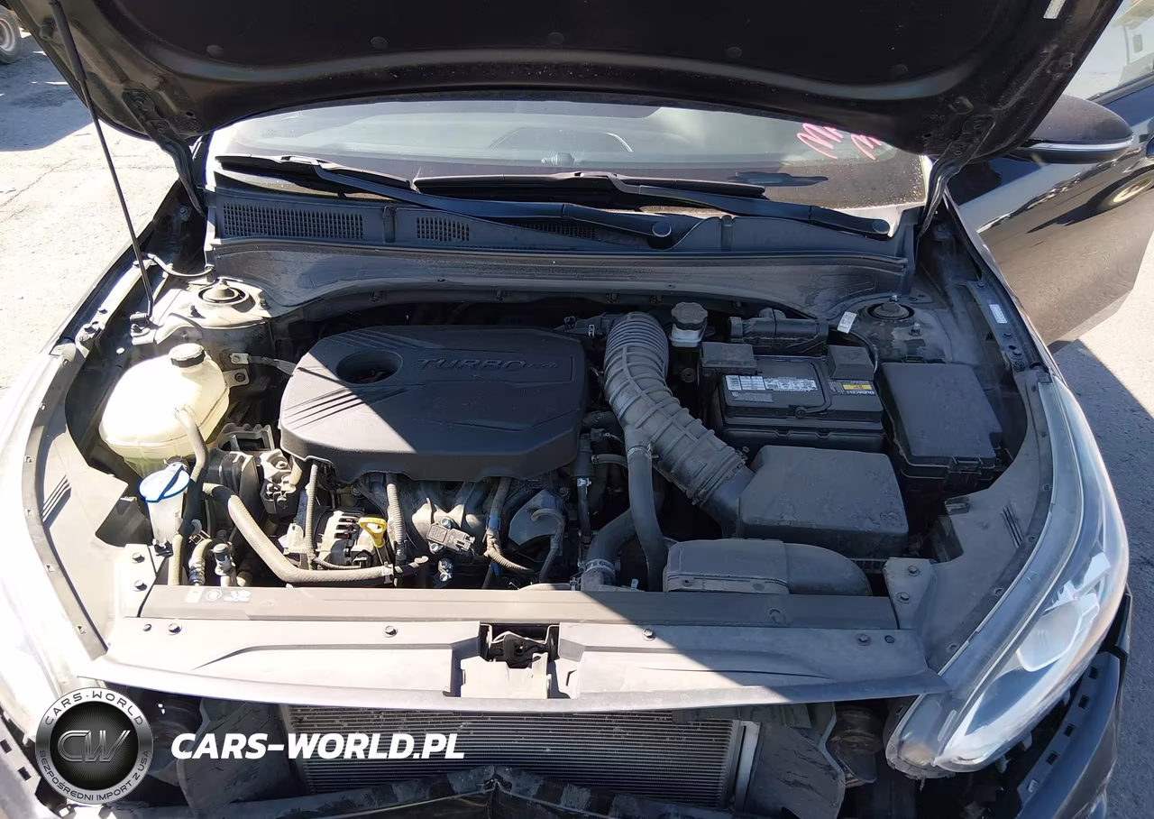 2020 Kia Forte Gt VIN:3KPF44AC9LE162381 - 10