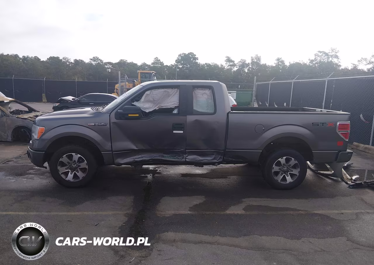 2013 Ford F-150 Stx VIN:1FTFX1CF3DFB48996 - 15