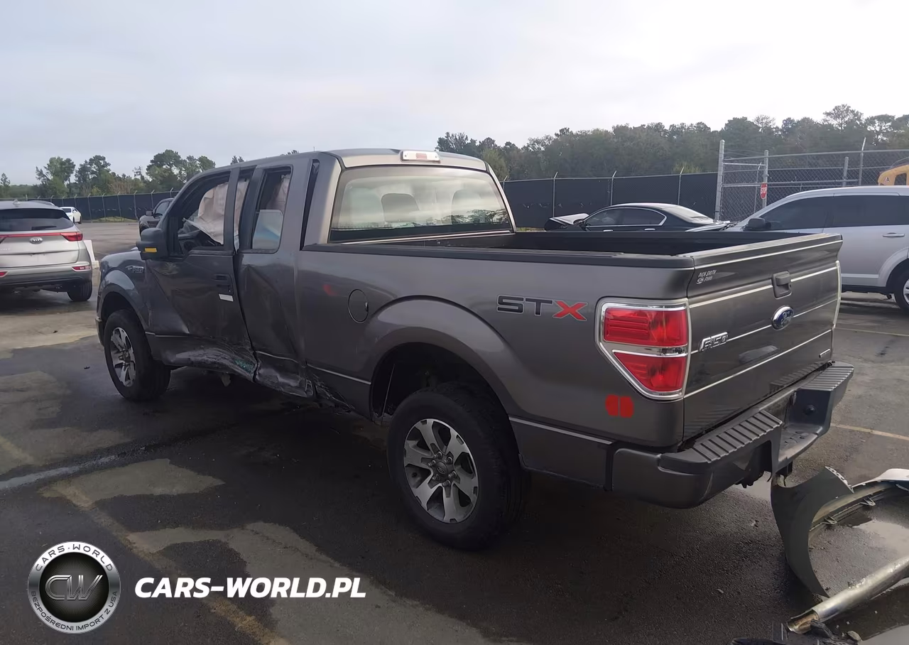 2013 Ford F-150 Stx VIN:1FTFX1CF3DFB48996 - 3