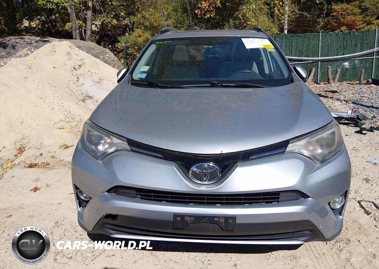 2016 Toyota Rav4 Xle VIN:2T3RFREV5GW456774 - 13