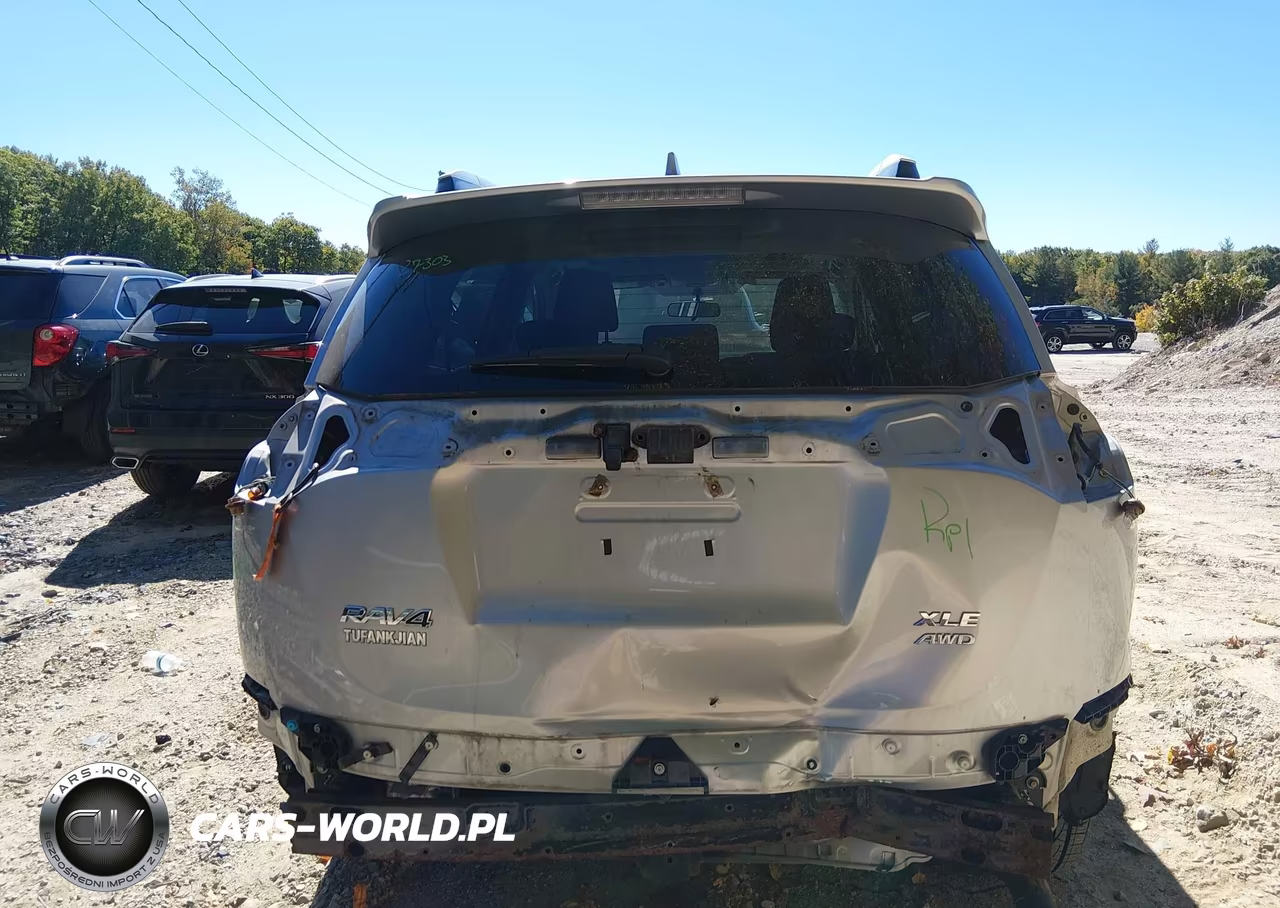 2016 Toyota Rav4 Xle VIN:2T3RFREV5GW456774 - 17