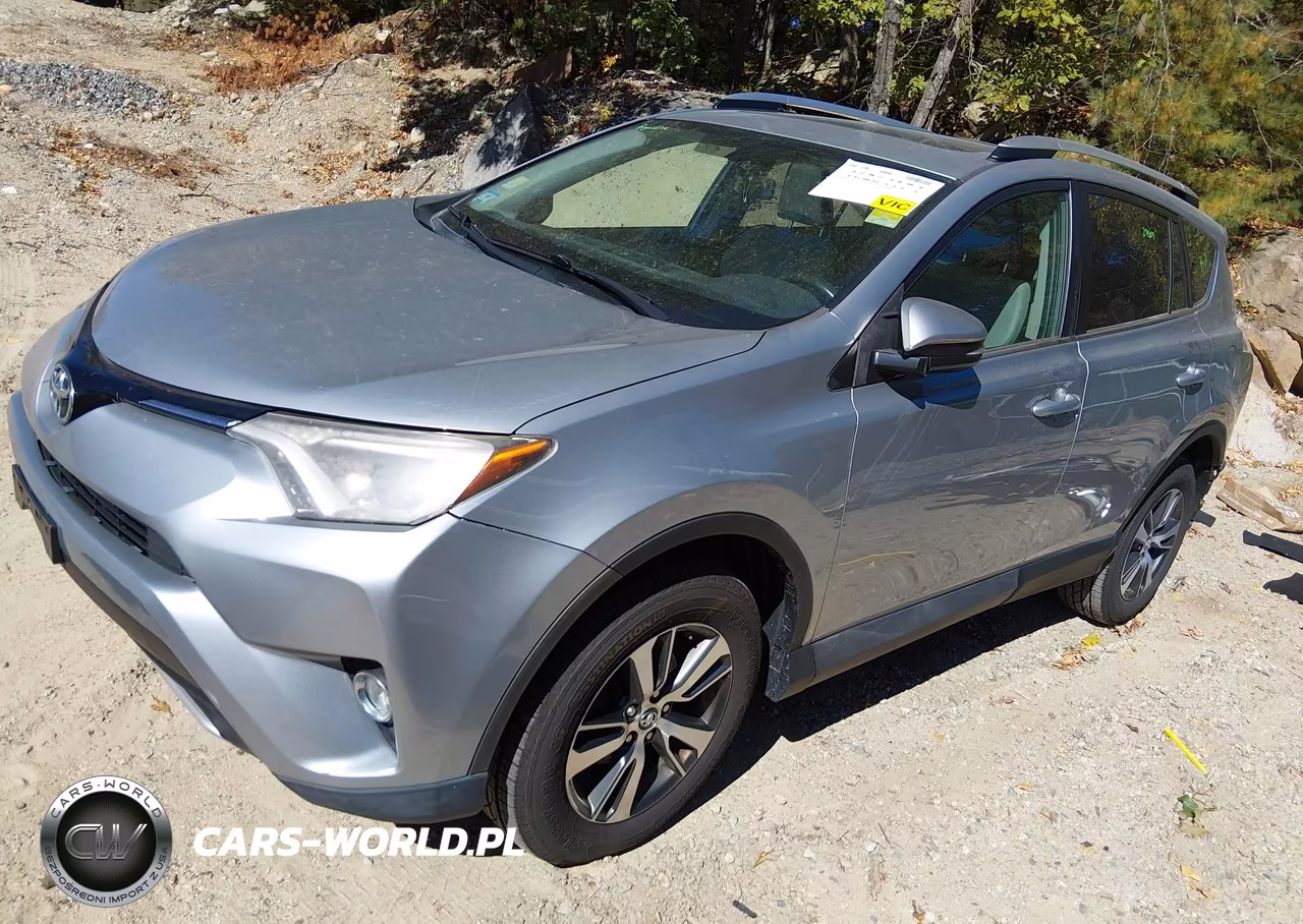 2016 Toyota Rav4 Xle VIN:2T3RFREV5GW456774 - 2