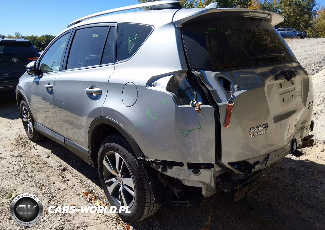 2016 Toyota Rav4 Xle VIN:2T3RFREV5GW456774 - 3