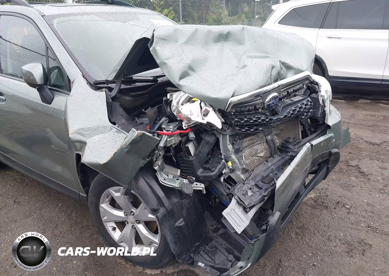 2015 Subaru Forester 2.5I Premium VIN:JF2SJADC0FH420806 - 6