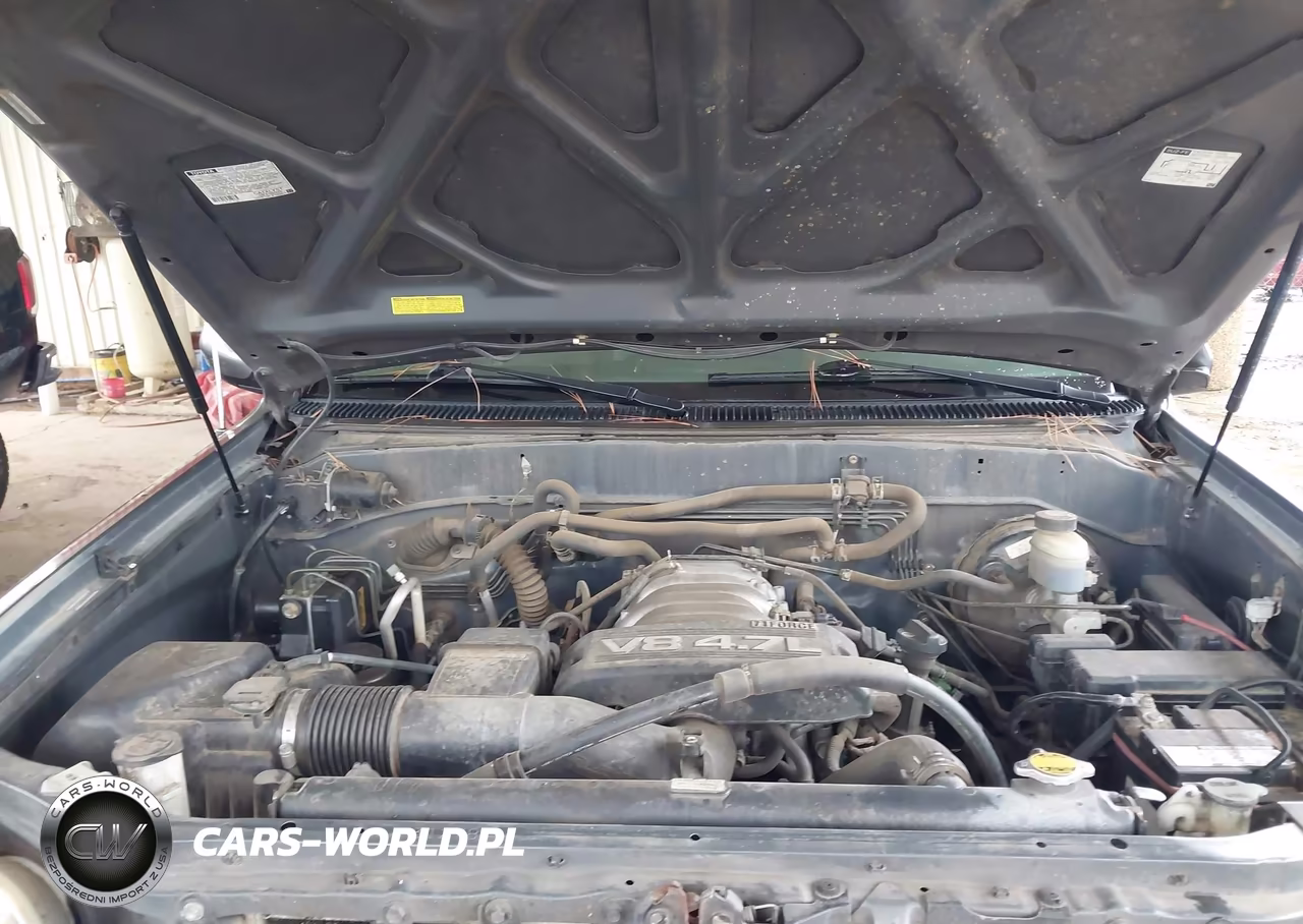 2004 Toyota Sequoia Sr5 V8 VIN:5TDZT34A94S221182 - 10