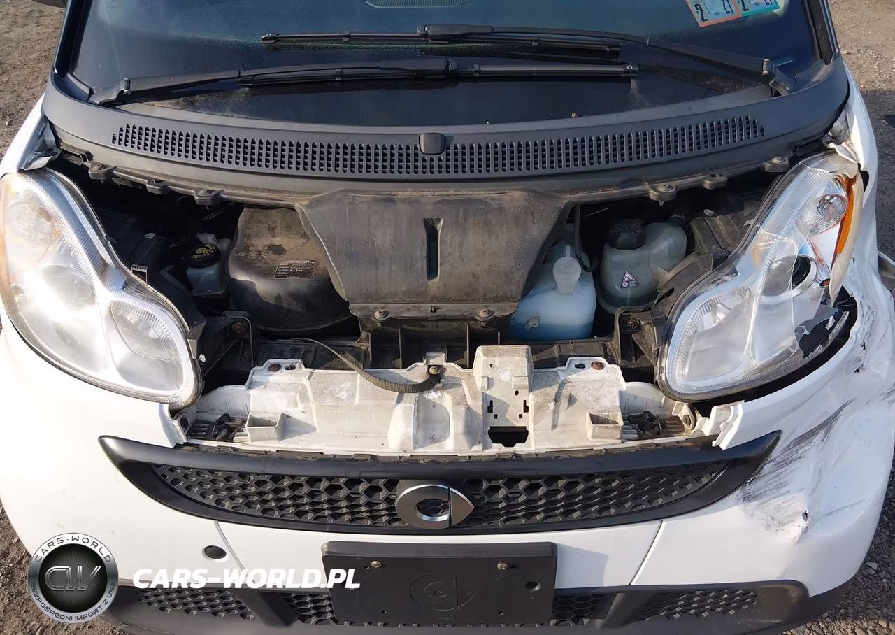 2015 Smart Fortwo Pure VIN:WMEEJ3BA5FK798617 - 10
