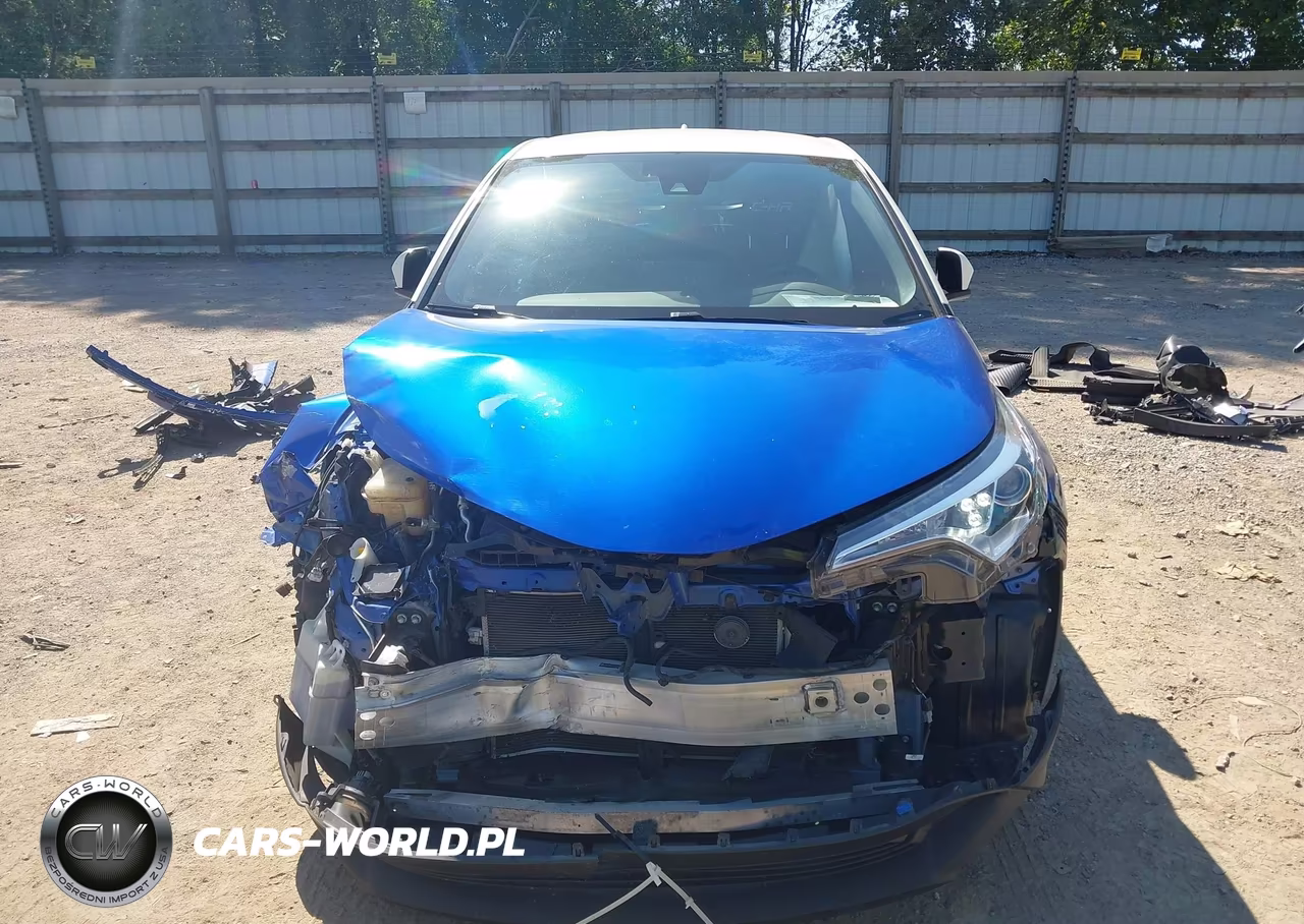 2019 Toyota C-Hr Limited VIN:JTNKHMBX7K1022976 - 12