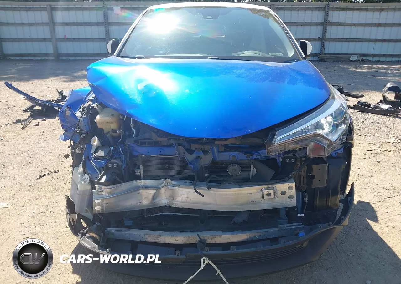 2019 Toyota C-Hr Limited VIN:JTNKHMBX7K1022976 - 6