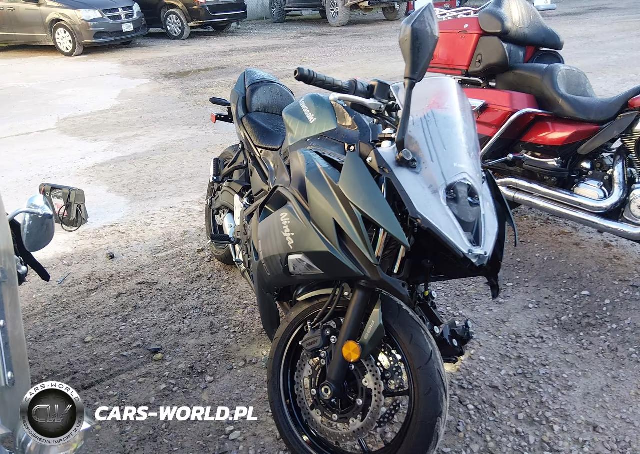 2025 Kawasaki Ex650 P – zdjęcie 1 z 13