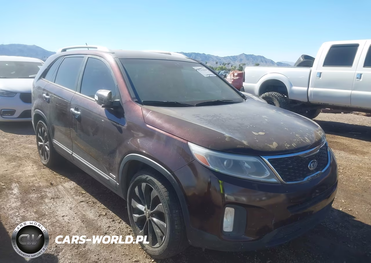2014 Kia Sorento Lx VIN:5XYKTCA6XEG439597 - 1