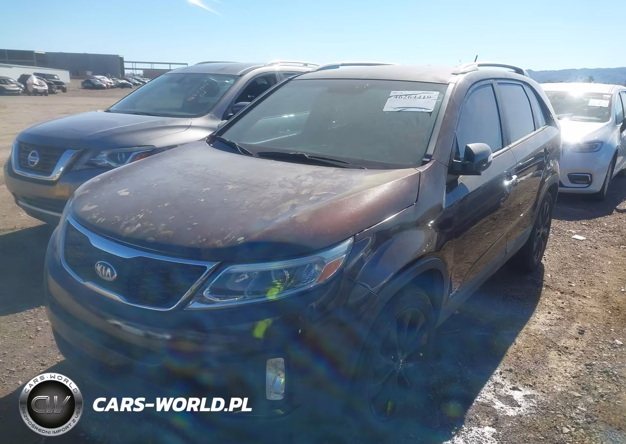 2014 Kia Sorento Lx VIN:5XYKTCA6XEG439597 - 2
