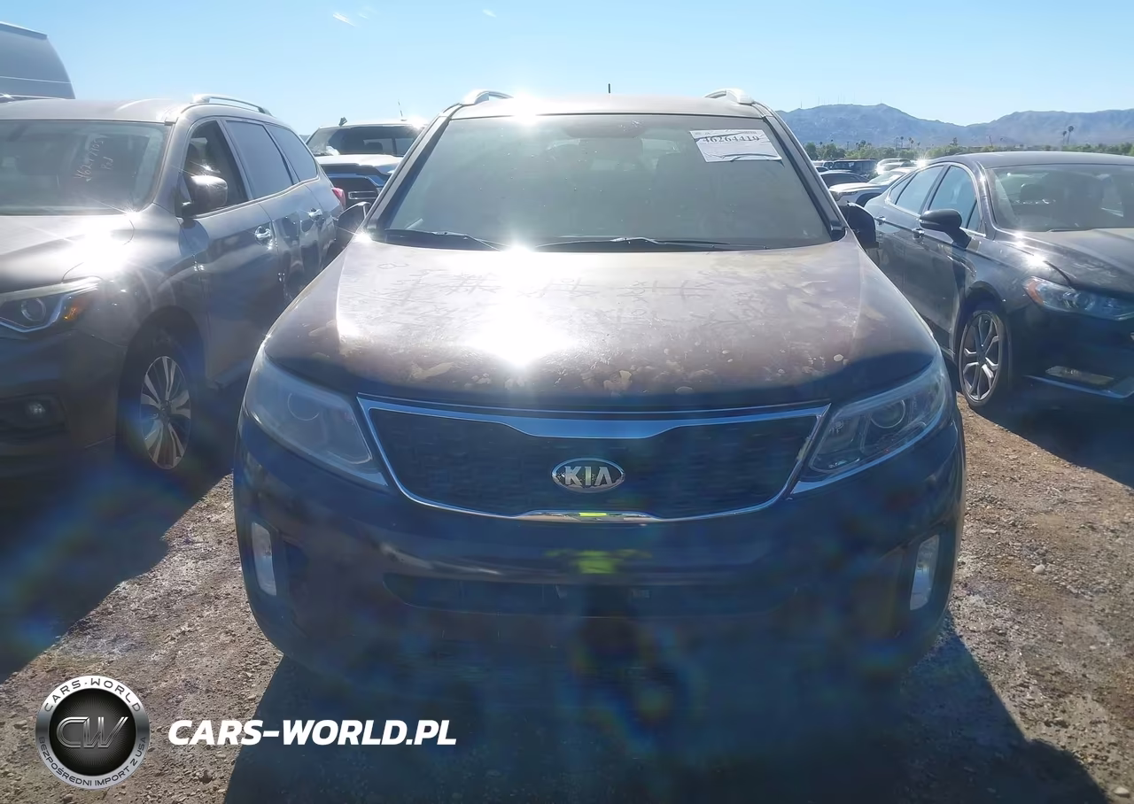 2014 Kia Sorento Lx VIN:5XYKTCA6XEG439597 - 6