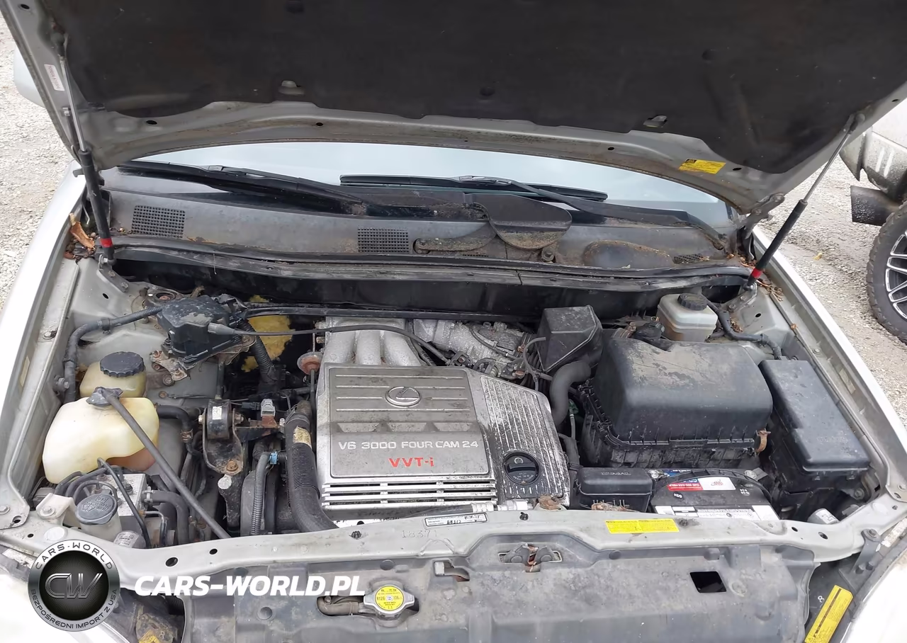2001 Lexus Rx 300 VIN:JTJHF10UX10231013 - 10