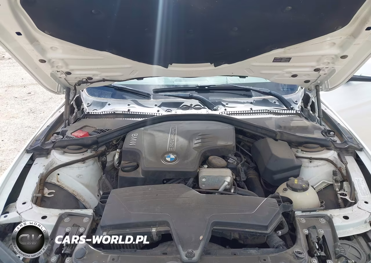 2015 BMW 320I VIN:WBA3B1C59FK137551 - 10