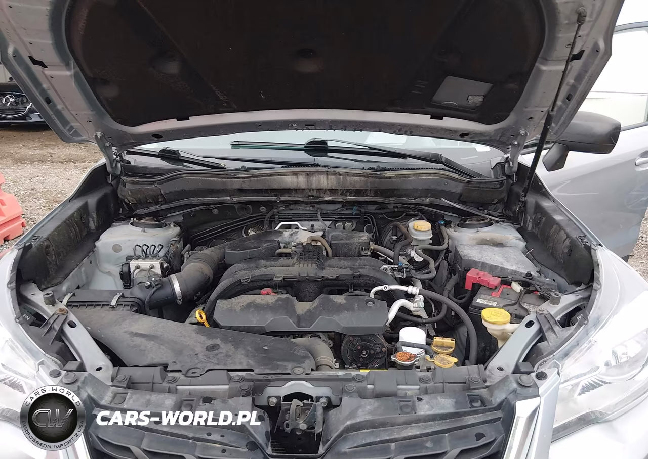 2018 Subaru Forester 2.5I VIN:JF2SJABC0JH447855 - 10