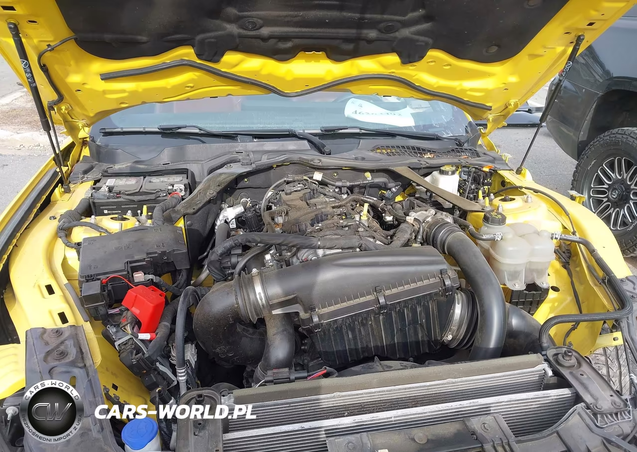 2024 Ford Mustang Ecoboost Premium VIN:1FAGP8UH2R5119957 - 10