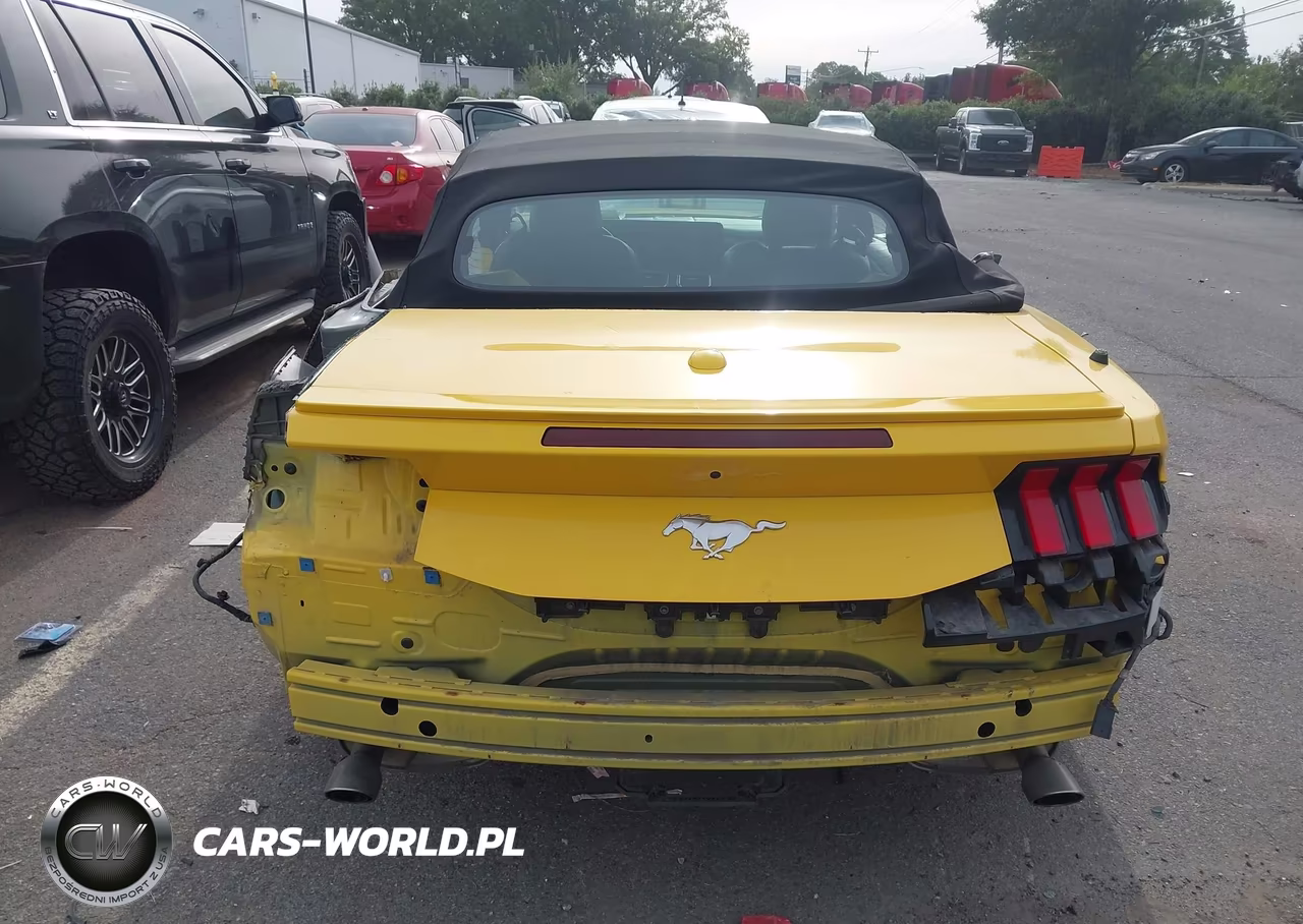 2024 Ford Mustang Ecoboost Premium VIN:1FAGP8UH2R5119957 - 17