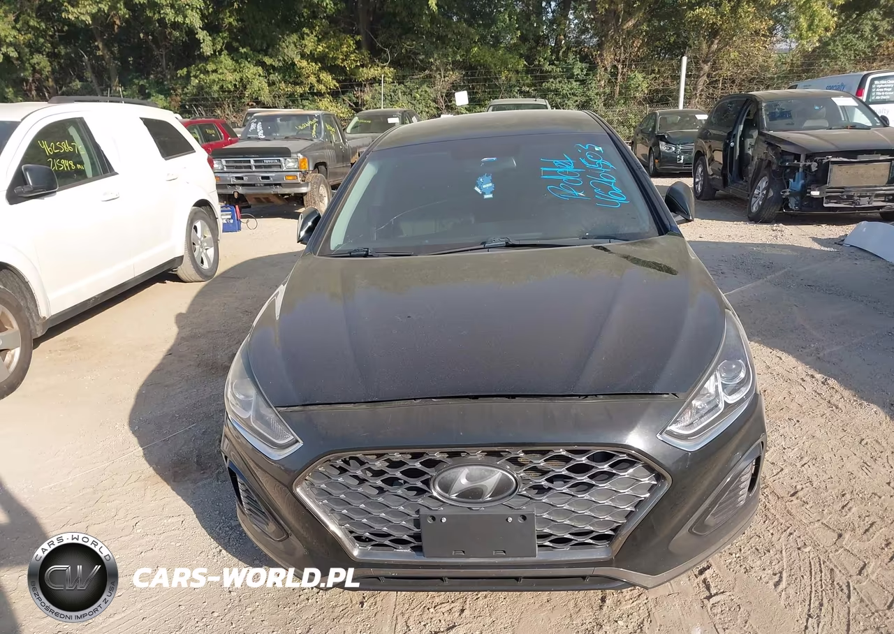 2019 Hyundai Sonata Sel VIN:5NPE34AF4KH785068 - 12