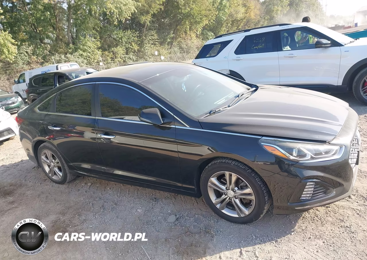 2019 Hyundai Sonata Sel VIN:5NPE34AF4KH785068 - 13