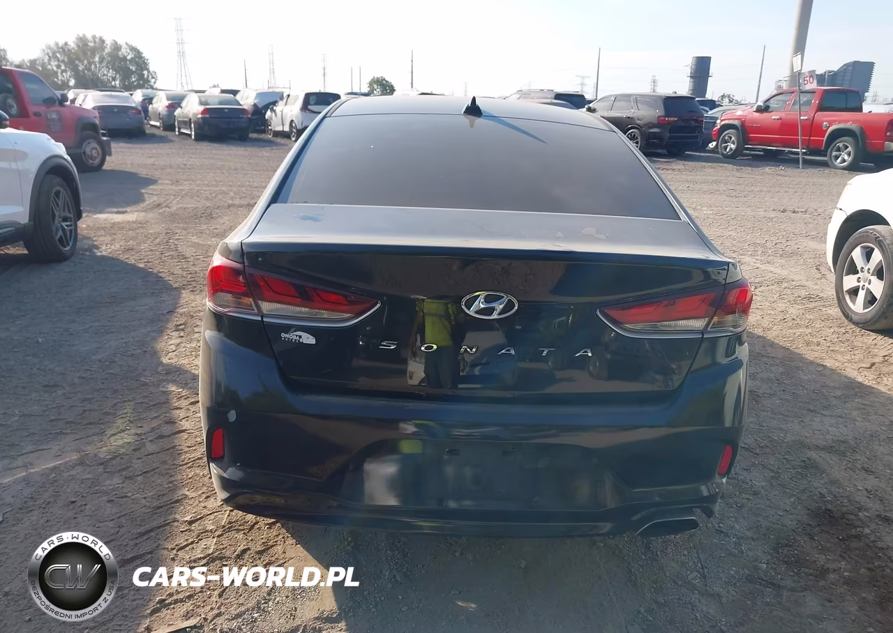 2019 Hyundai Sonata Sel VIN:5NPE34AF4KH785068 - 16