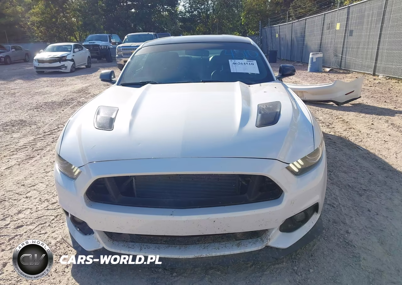 2017 Ford Mustang Gt Premium VIN:1FA6P8CF5H5308189 - 13