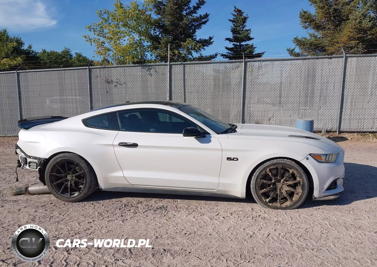 2017 Ford Mustang Gt Premium VIN:1FA6P8CF5H5308189 - 14