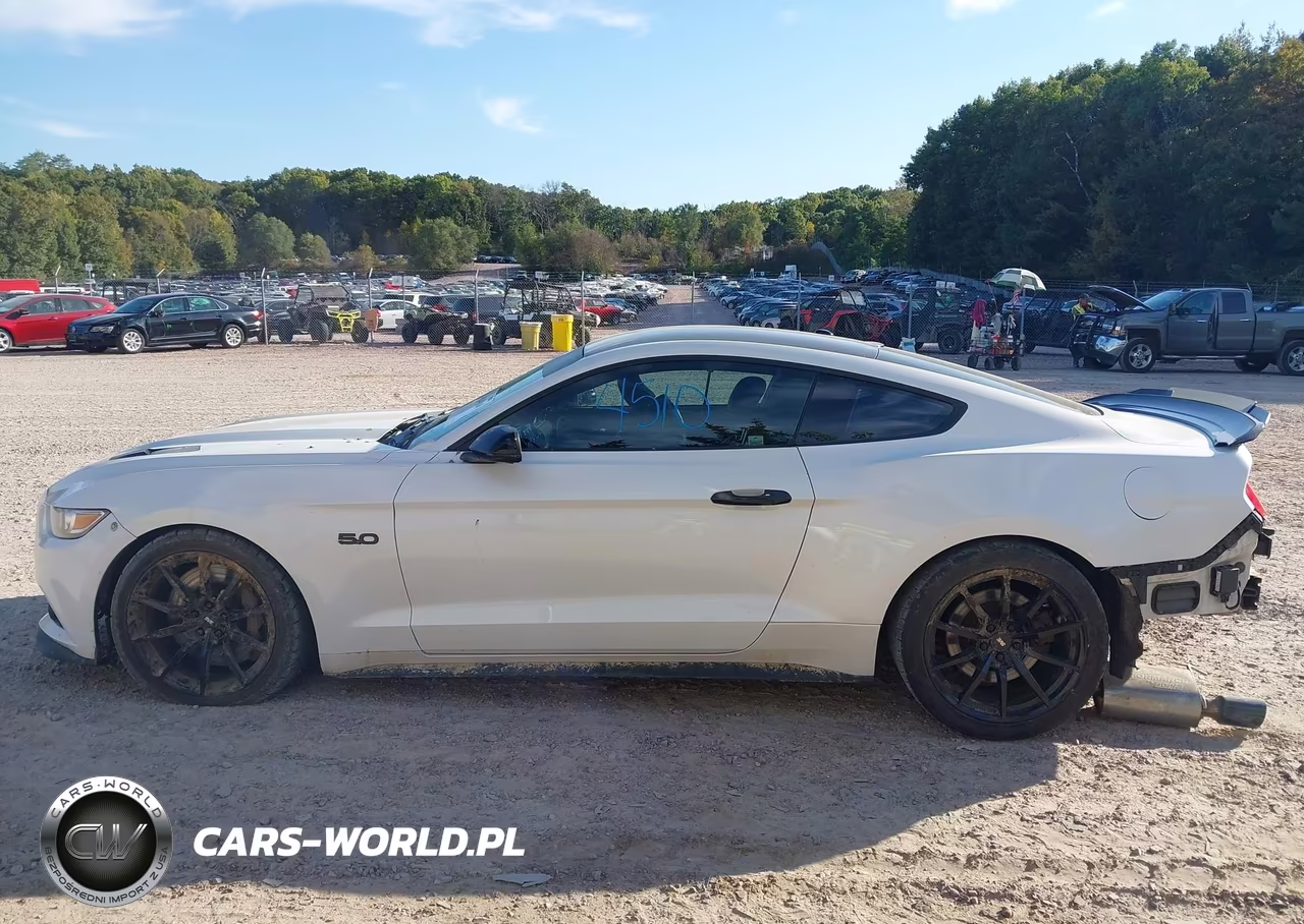 2017 Ford Mustang Gt Premium VIN:1FA6P8CF5H5308189 - 15