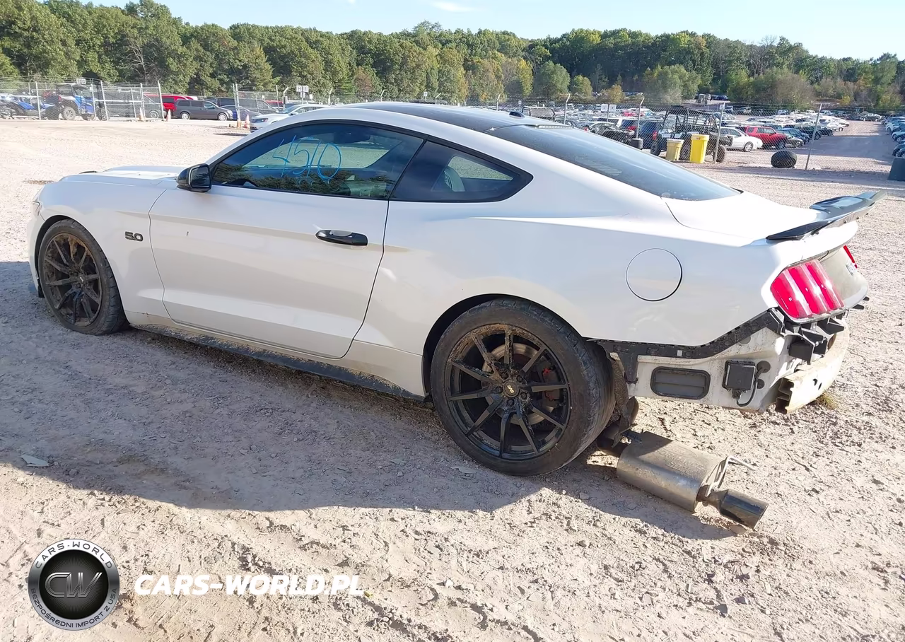 2017 Ford Mustang Gt Premium VIN:1FA6P8CF5H5308189 - 3