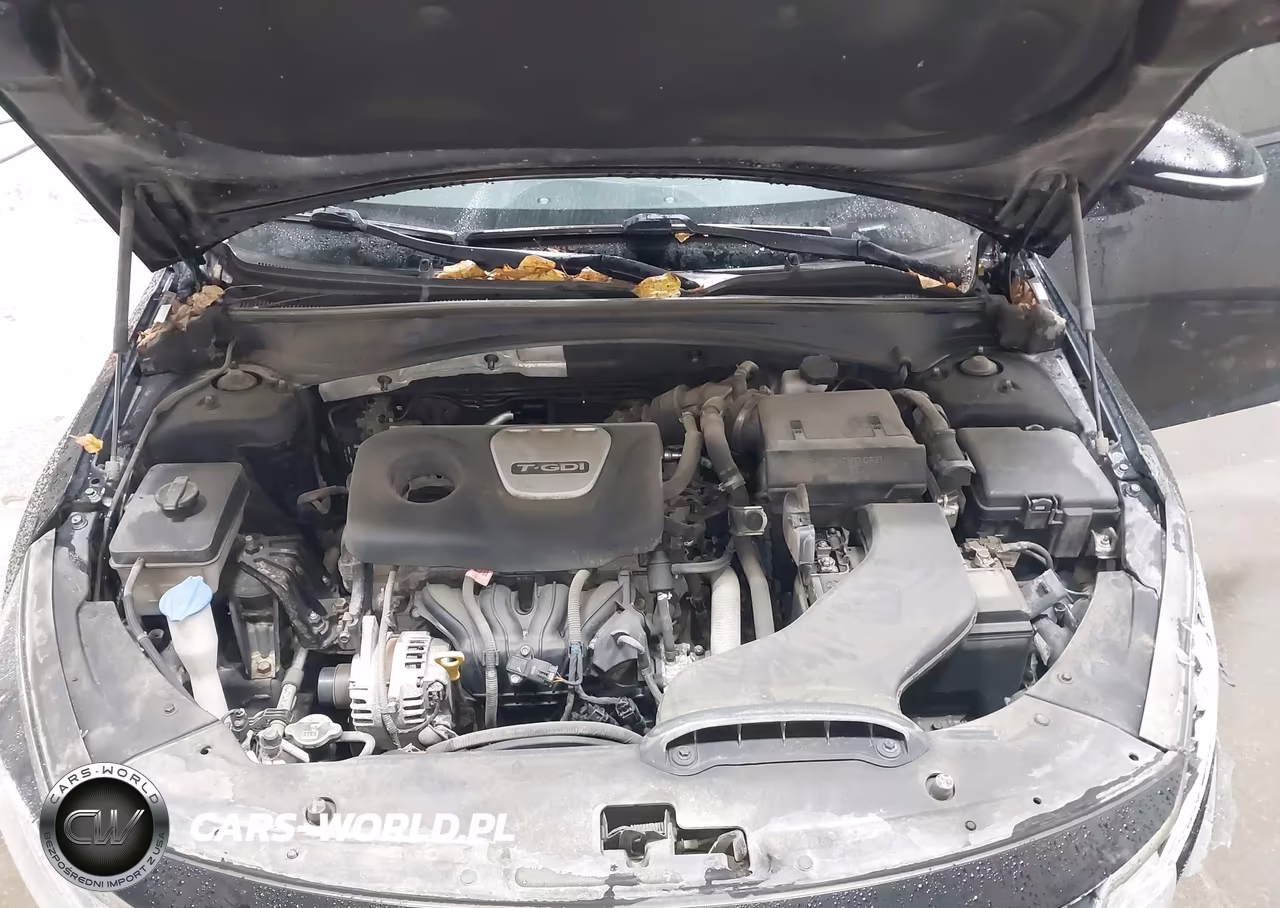 2019 Kia Optima Ex VIN:5XXGU4L11KG320217 - 10