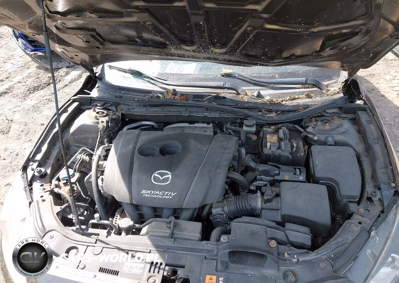 2014 Mazda Mazda3 I Touring VIN:JM1BM1V75E1181753 - 10