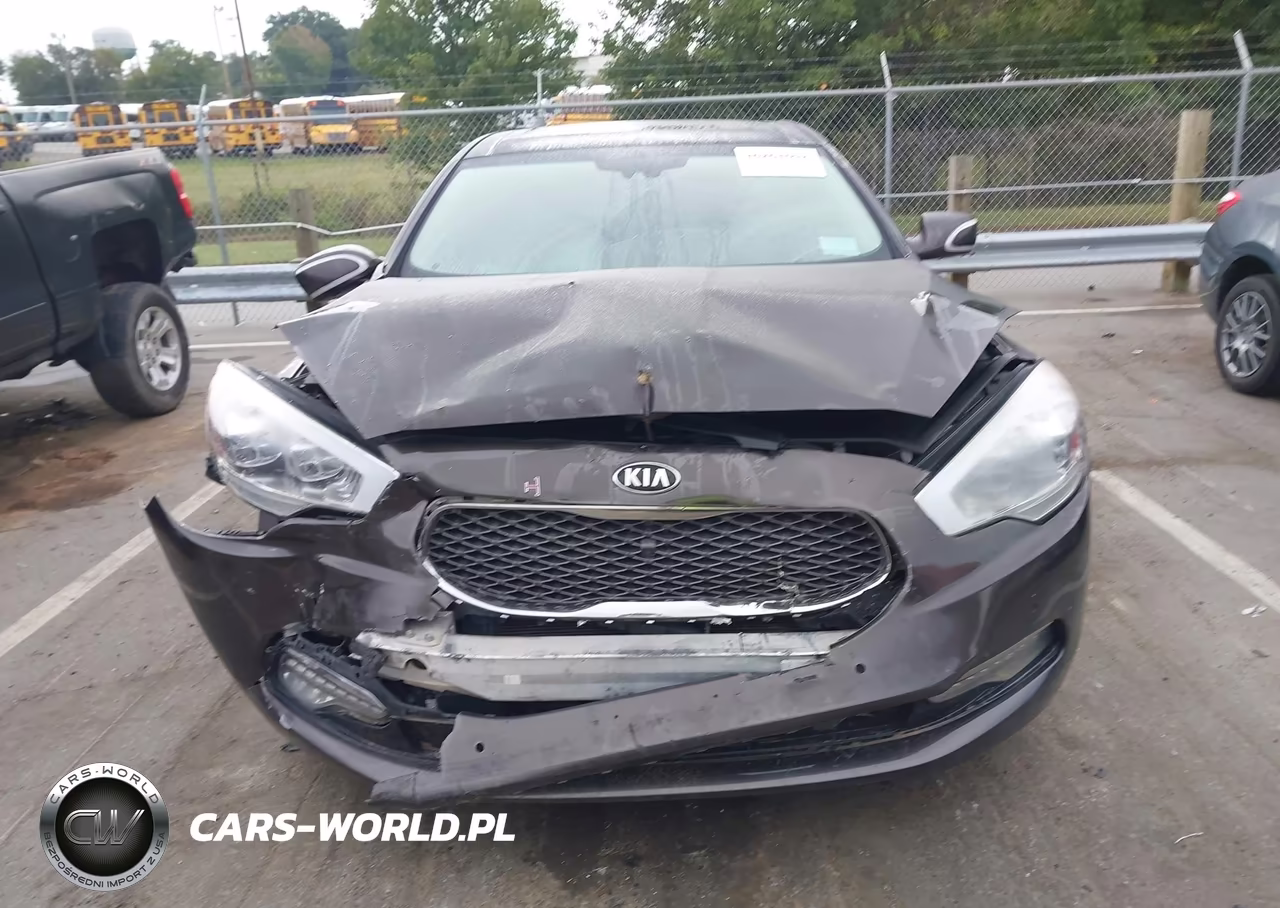 2015 Kia K900 Luxury VIN:KNALW4D41F6020020 - 12