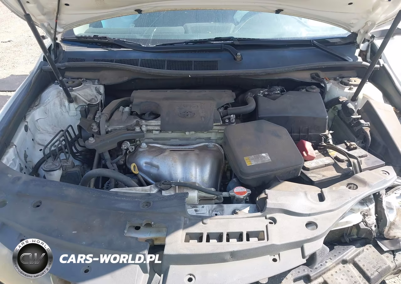 2016 Toyota Camry Se VIN:4T1BF1FK1GU233471 - 10