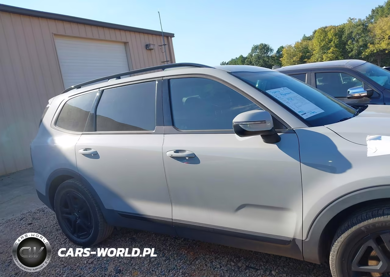 2024 Kia Telluride Ex X-Line VIN:5XYP3DGC3RG414779 - 14
