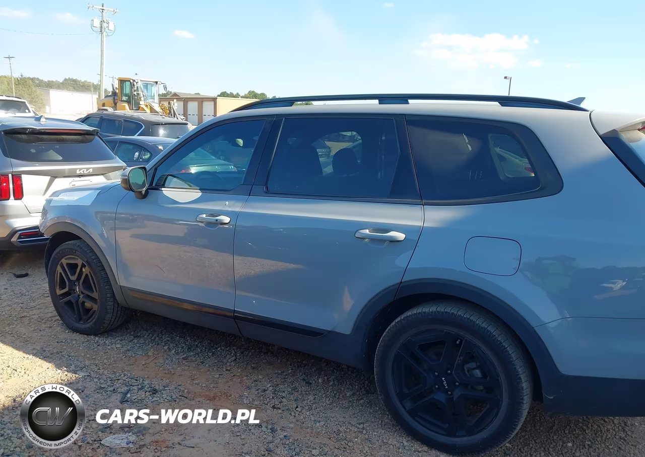 2024 Kia Telluride Ex X-Line VIN:5XYP3DGC3RG414779 - 15