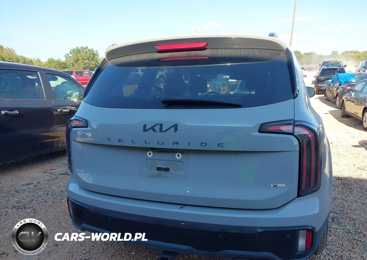 2024 Kia Telluride Ex X-Line VIN:5XYP3DGC3RG414779 - 17