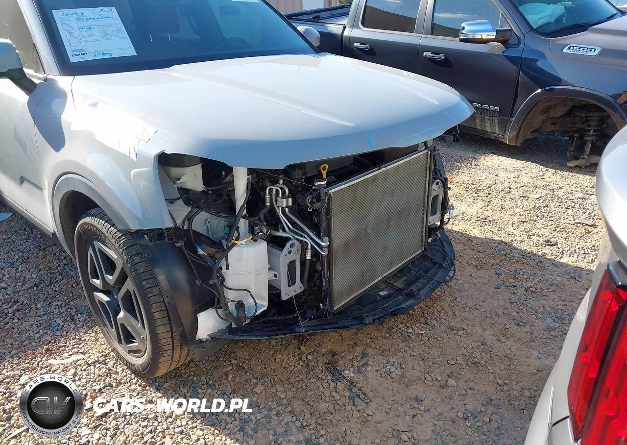2024 Kia Telluride Ex X-Line VIN:5XYP3DGC3RG414779 - 18