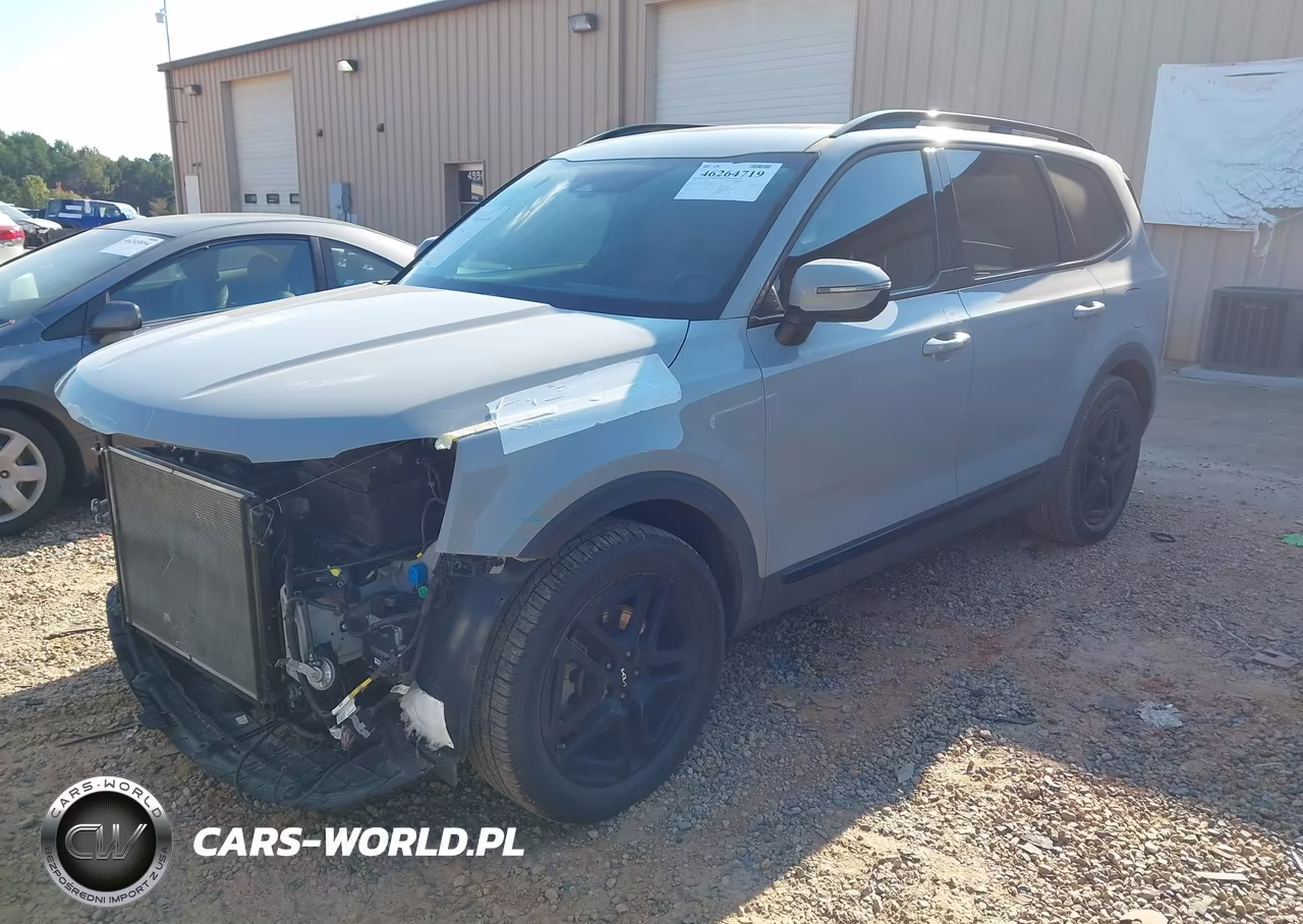 2024 Kia Telluride Ex X-Line VIN:5XYP3DGC3RG414779 - 2
