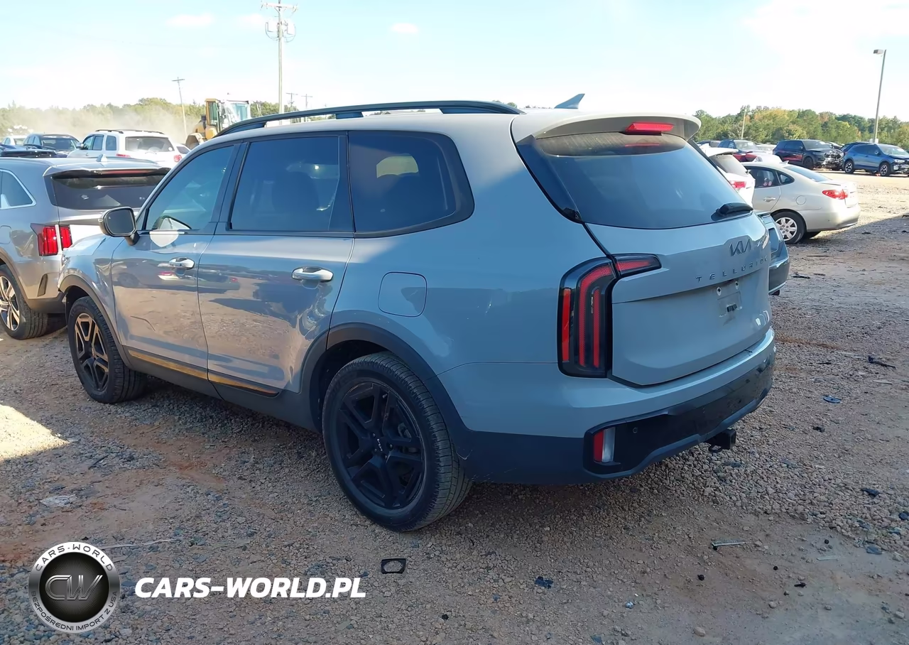 2024 Kia Telluride Ex X-Line VIN:5XYP3DGC3RG414779 - 3
