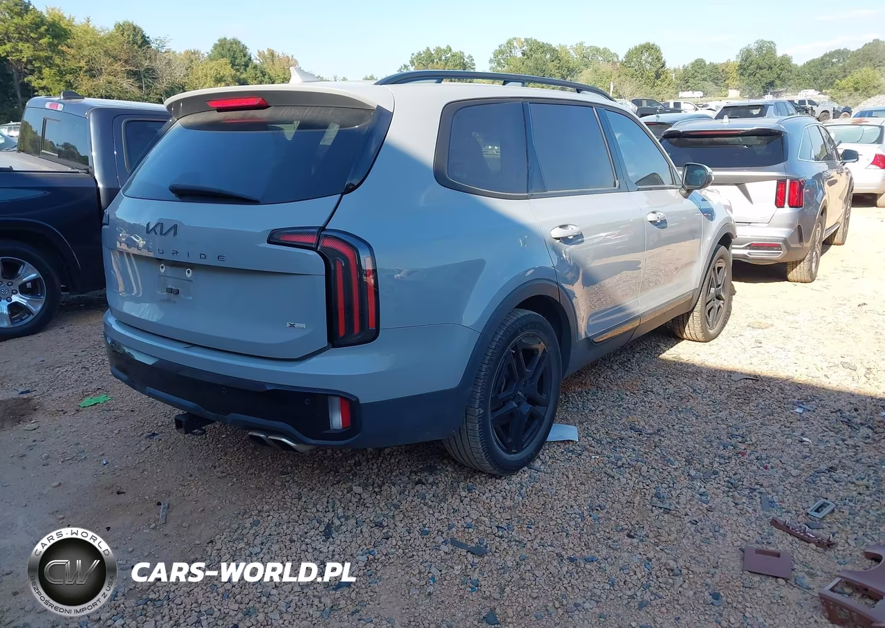 2024 Kia Telluride Ex X-Line VIN:5XYP3DGC3RG414779 - 4