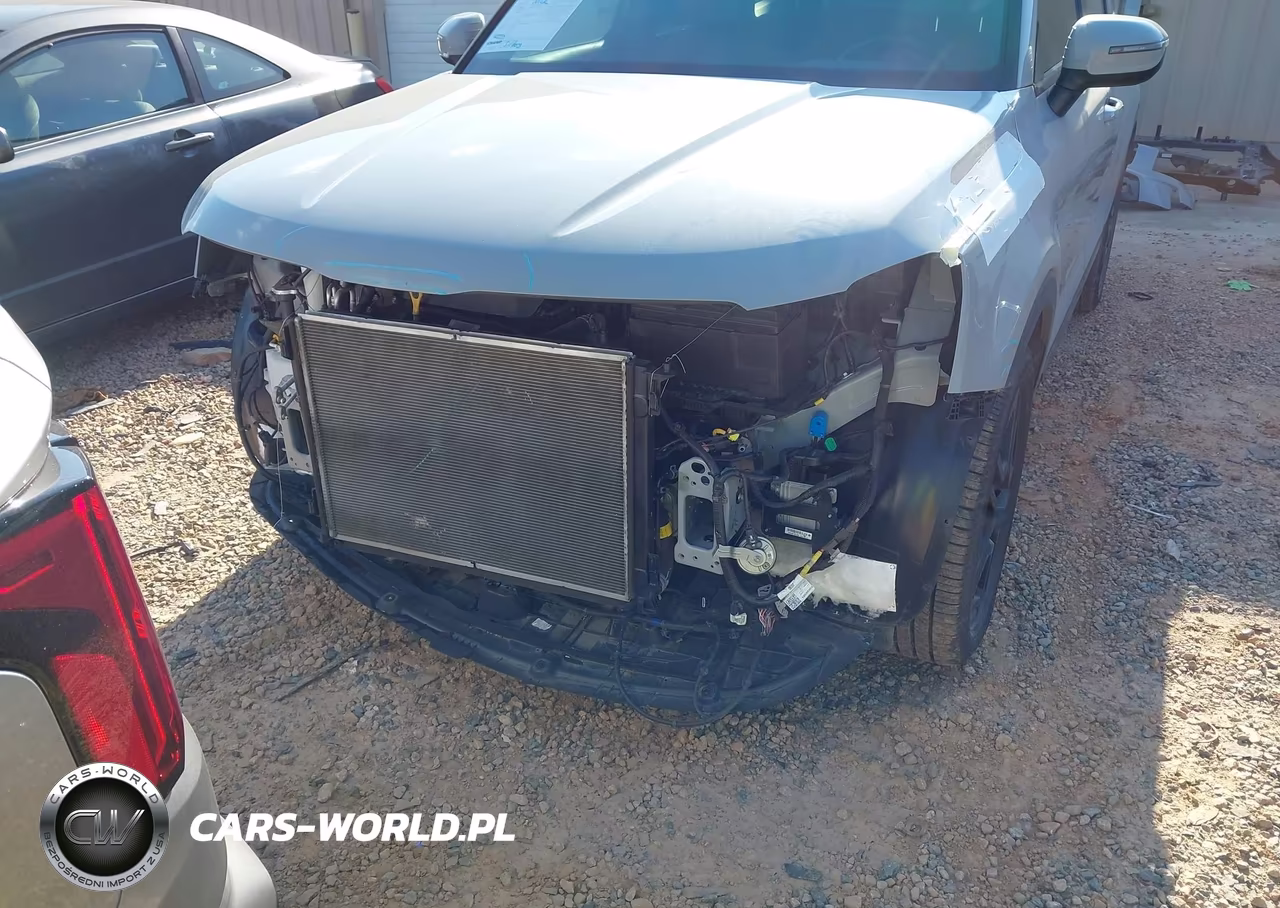 2024 Kia Telluride Ex X-Line VIN:5XYP3DGC3RG414779 - 6