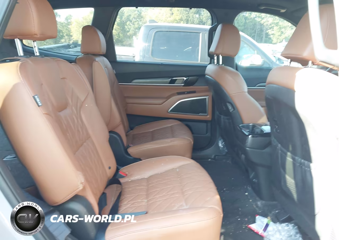 2024 Kia Telluride Ex X-Line VIN:5XYP3DGC3RG414779 - 8