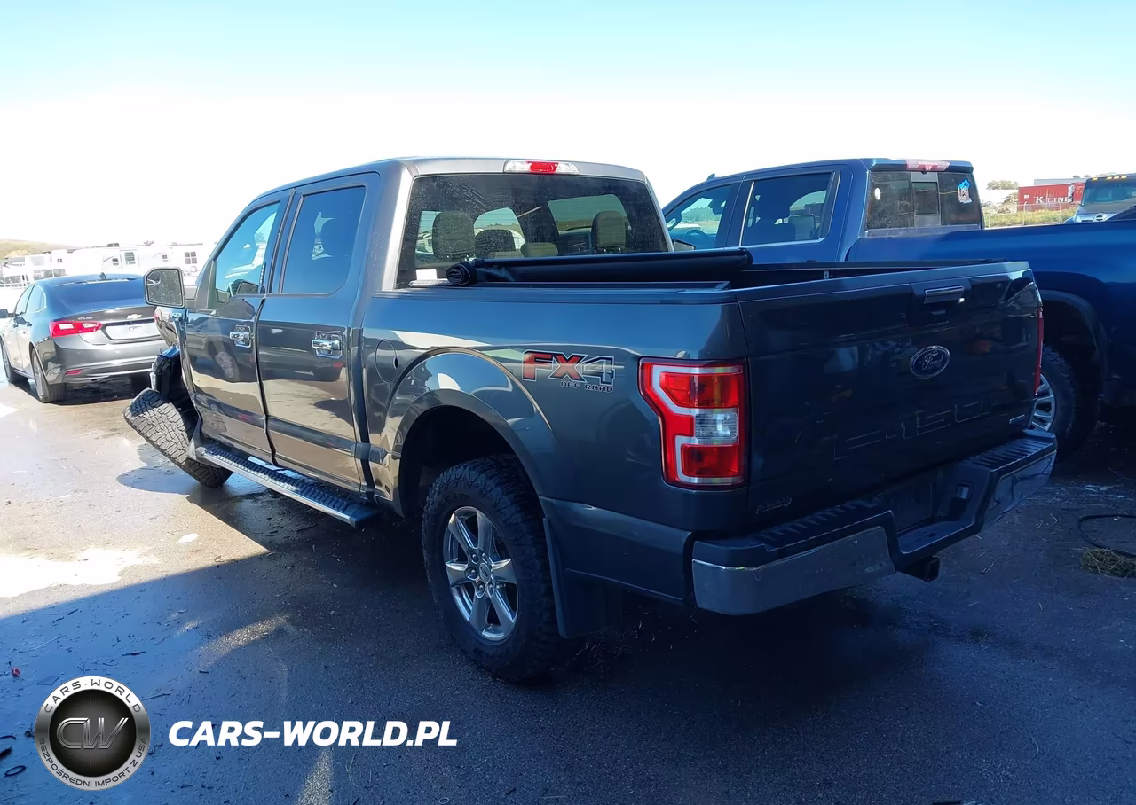 2019 Ford F-150 Xlt VIN:1FTEW1EP1KKC66327 - 3