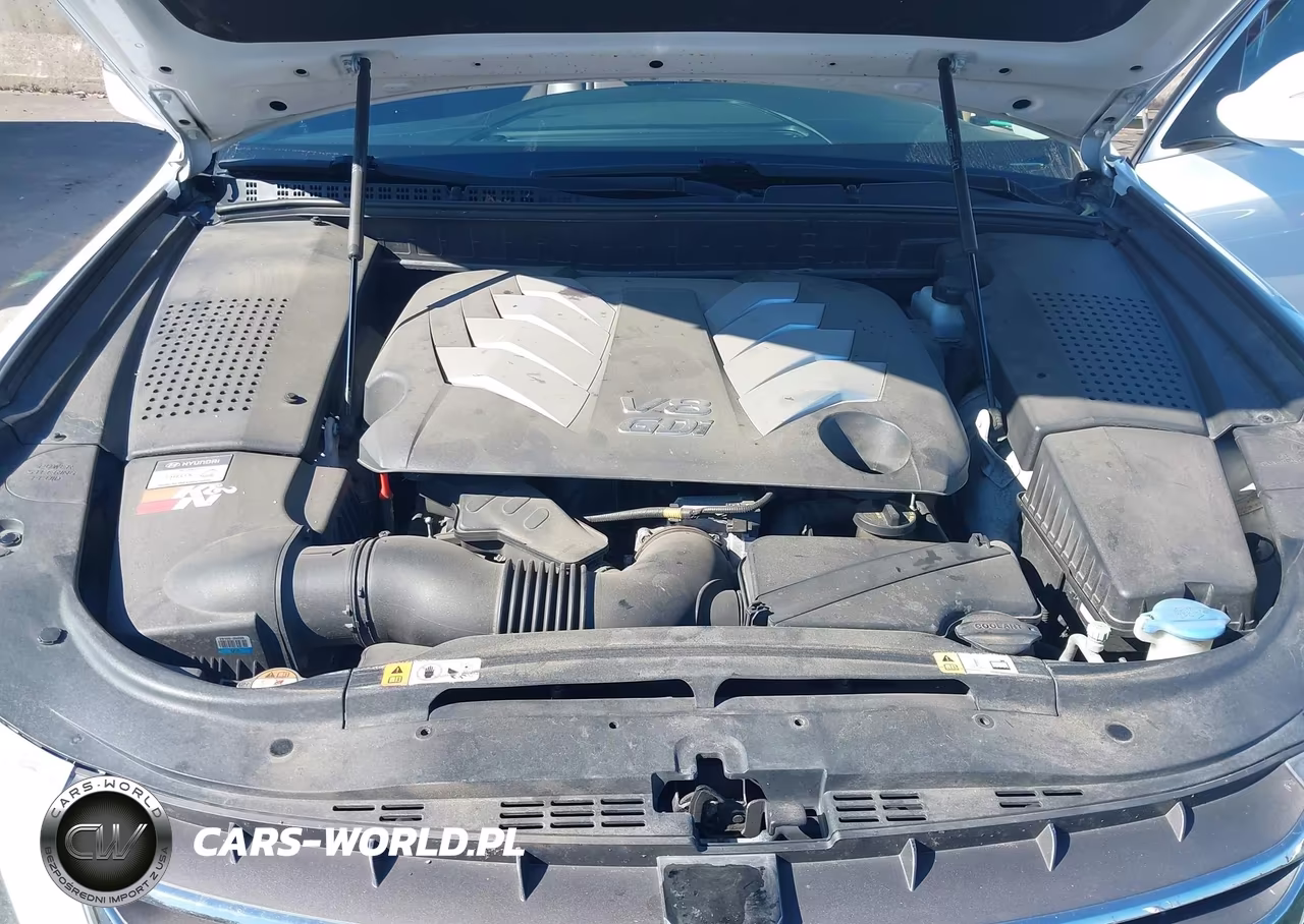 2015 Hyundai Equus Signature VIN:KMHGH4JH3FU091734 - 10