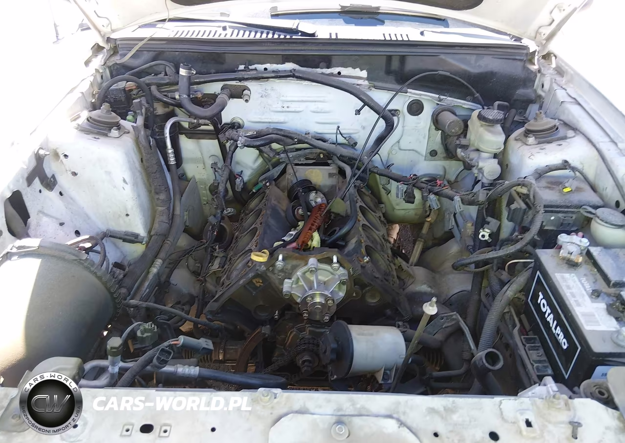 2001 Ford Mustang Gt VIN:1FAFP42X91F148546 - 10
